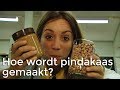 Hoe wordt pindakaas gemaakt? | Het Klokhuis