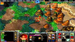 warcraft 3 (Evolution of forms v0.54a)№4 warcraft 3 (Evolution of forms v0.54a)№4