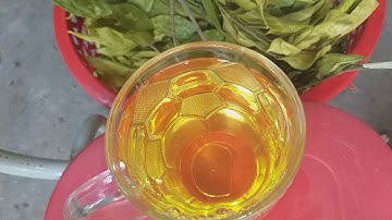 chữa đau dạ dày hiệu quả ,ít  tốn kém nhất.từ cây chè dung