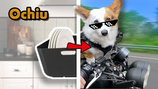 Turned an IKEA Rinsing Tub Into a Dog Seat on Motorcycle【Ochiu DIY】