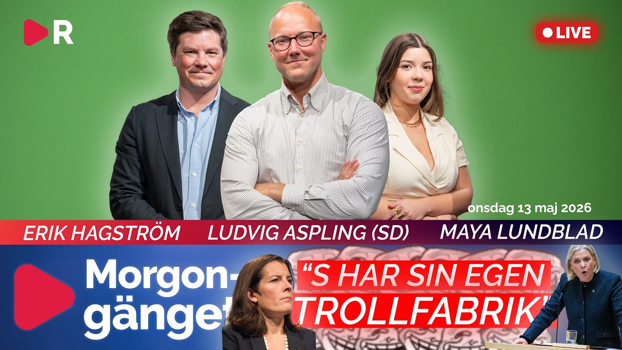 Morgongänget: Så ska SD fortsätta med utvisningarna