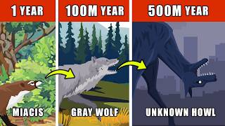 Unknown Howl Origin Evolution: How Unknown Howl Could Have Evolved?