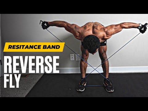 How To Do Reverse Flys With Resistance Band | Shoulder Workout | Fitness My Life