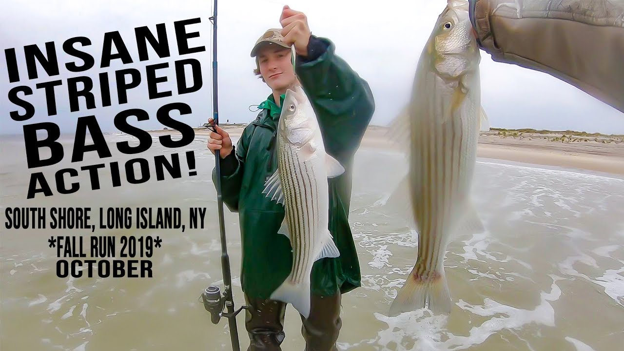 INSANE Striped Bass Action - South Shore Surf Fishing - Fall Run 2019 October Long Island, New York