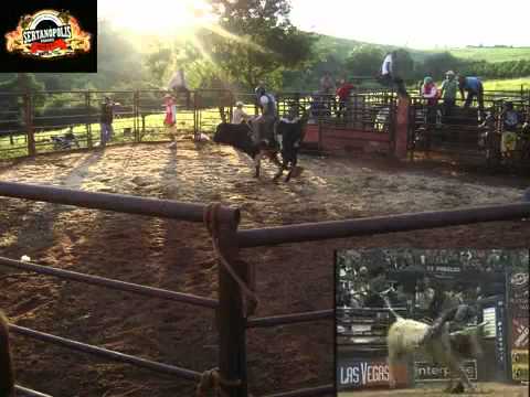 TREINO DE RODEIO SERTANOPOLIS BOIADA XANDÃO - YouTube