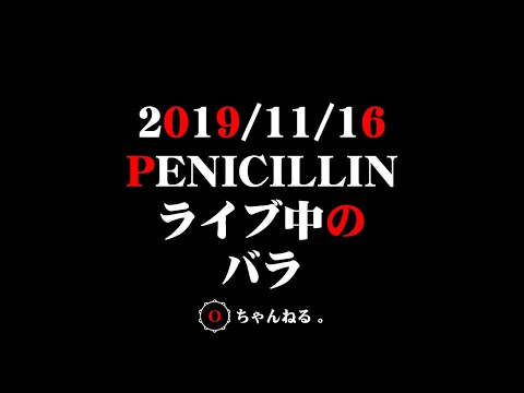191116 HEVEN'S ROCK埼玉 PENICILLIN LIVE