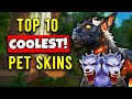 Top 10 Coolest Hunter Pets You Can Tame in WOTLK Classic!