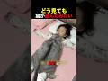 どう見ても猫が産んだみたい