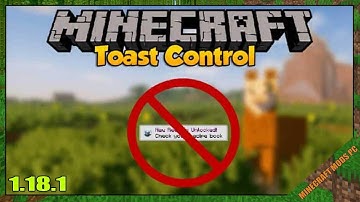 Toast Control Mod 1.18.1 & How To Install for Minecraft