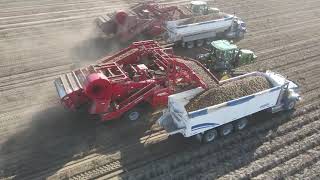 2022 Potato Harvest with John Beattie Farms