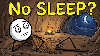 What Did Ancient Humans Do at Night ?