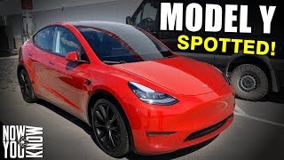 Tesla Time News - Model Y Spotted!