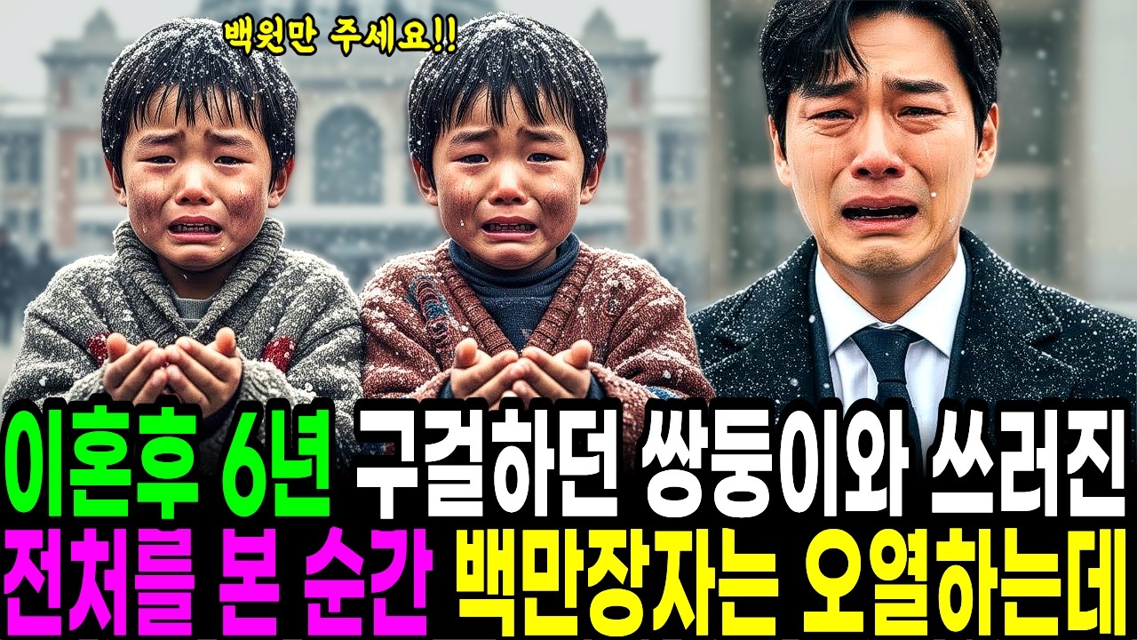 이혼 후 6년, 구걸하는 거지 쌍둥이들과 쓰러진 전처를 본 백만장자는 충격적인 진실에 무릎꿇고 울부짖는데… | 노후사연 | 사연라디오 | 오디오북 | 삶의지혜