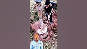 #fcnfm Afforestation & Fertilization at Lightning Speed - Our Tool is the Key