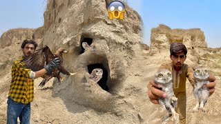 Hum Ne Desert Se Owl Babies Aur Golden Eagle Ko Rescue Kar Lea 😱 Eagle Owls Babies Ko Kha Raha Tha😱