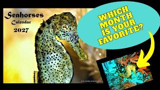 2027 Seahorse Calendar Original Ocean Marine Life Photography Coastal Decor Wall Calendar