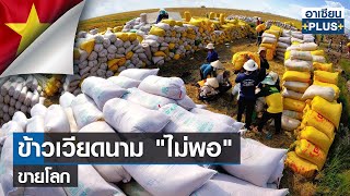 ข้าวเวียดนาม "ไม่พอ" ขายโลก | อาเซียนพลัส |TNN| อาทิตย์ที่ 11 มิ.ย. 2566