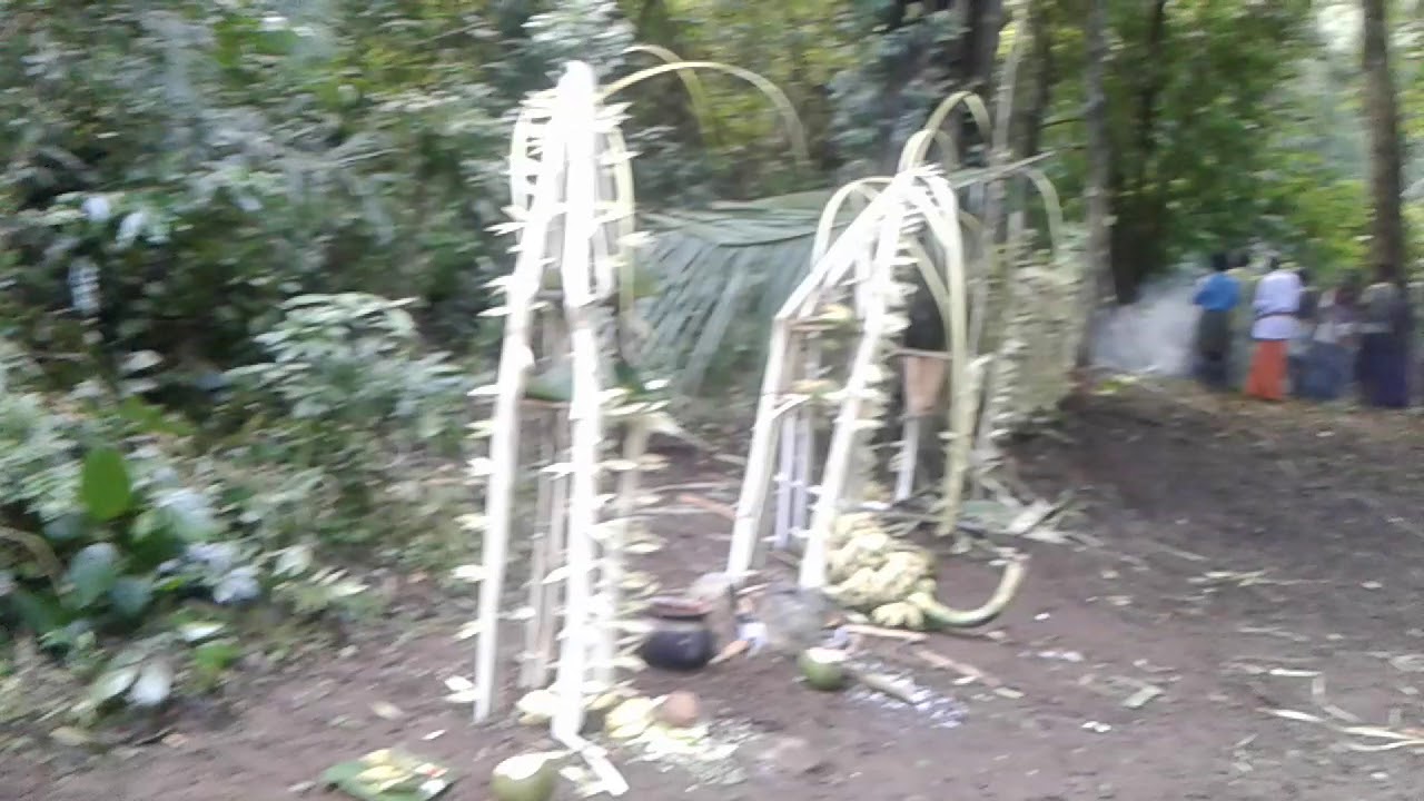 KMTR Kanikkaran terble kalasaran