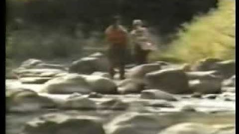 Flash Forward s01e13 Flossed in the Woods part 1 of 3