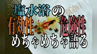 【金魚愛好家ch】塩水浴を深掘りして語る【高濃度 塩浴もあるよ】