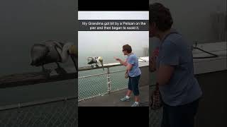 Friday #Meme Dump #funny #funnyshorts #funnyvideo #funnyvideos #memes #funnymoments #comedy #humor