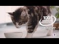 Hill’s Prescription Diet Feline Gastrointestinal Biome Digestive/Fibre Care