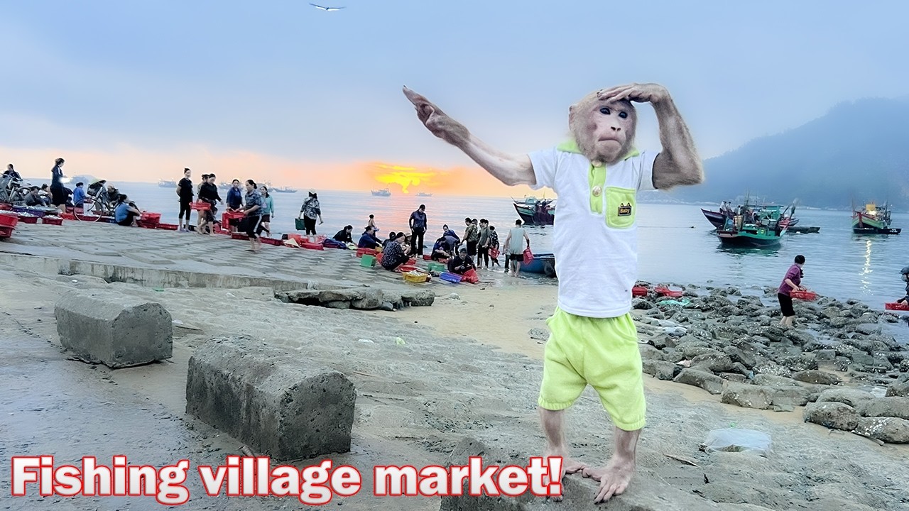 Биби просыпается рано утром, чтобы отправиться на рынок рыбацкой деревни на пляже!