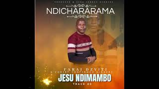 JESU NDI MAMBO-FARAI DZVITI