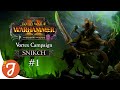 Deathmaster & Chief Assassin | Snikch Vortex Campaign #01 | Total War: WARHAMMER II