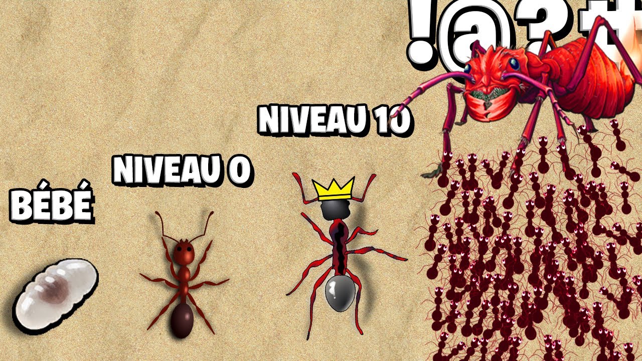 Download Fourmis Mp4 Mp3 3gp Naijagreenmovies Fzmovies Netnaija Download Fourmis Mp4 Mp3 3gp Naijagreenmovies Fzmovies Netnaija