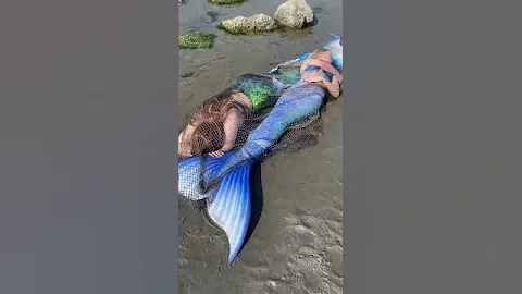 Two Real Mermaids washed up on the beach?! 😨 is one still moving?? #realmermaid - DayDayNews