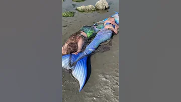 Two Real Mermaids washed up on the beach?! 😨 is one still moving?? #realmermaid