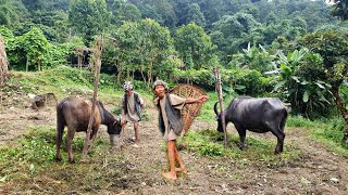 Single Life In The Forest || Beautiful Organic Nepali Village Lifestyle || DB Limbu screenshot 5
