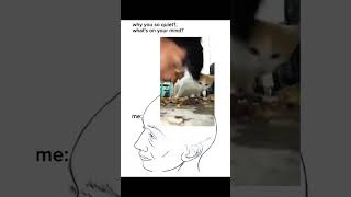 food trip with my cat 😁 #cat #catmemes #funnyvideo #funnycats #shorts #viral