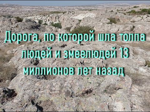 SENSATION! A fossilized Neogene road, interspersed with human and snake-people tracks, has been d...