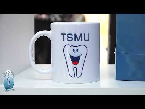 მეცნიერების და ინოვაციების ფესტივალი