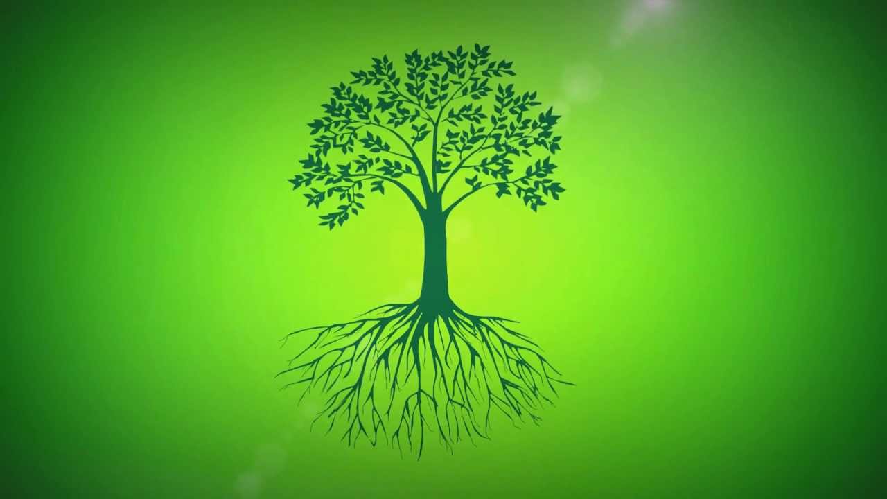 Animated Tree Roots Png - Try to search more transparent images related