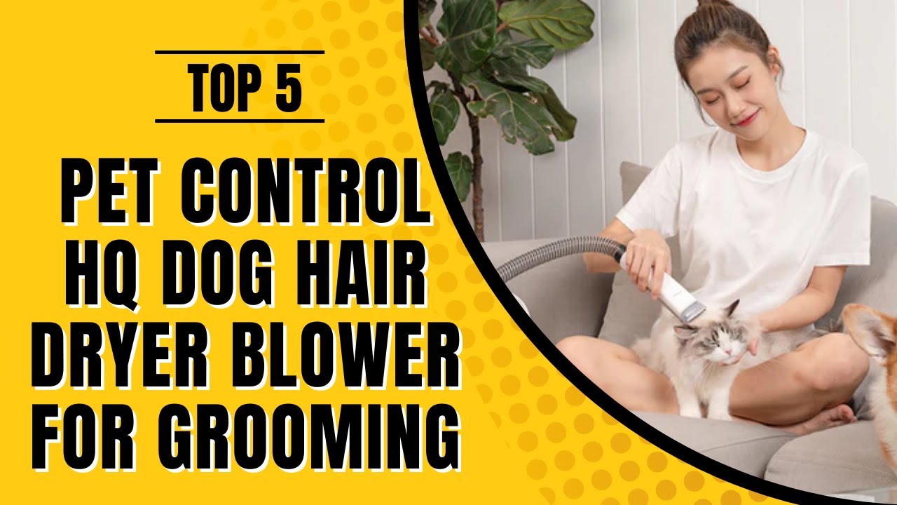 Top 5 Best Pet Control HQ Dog Hair Dryer Blower for Grooming 2022 YouTube