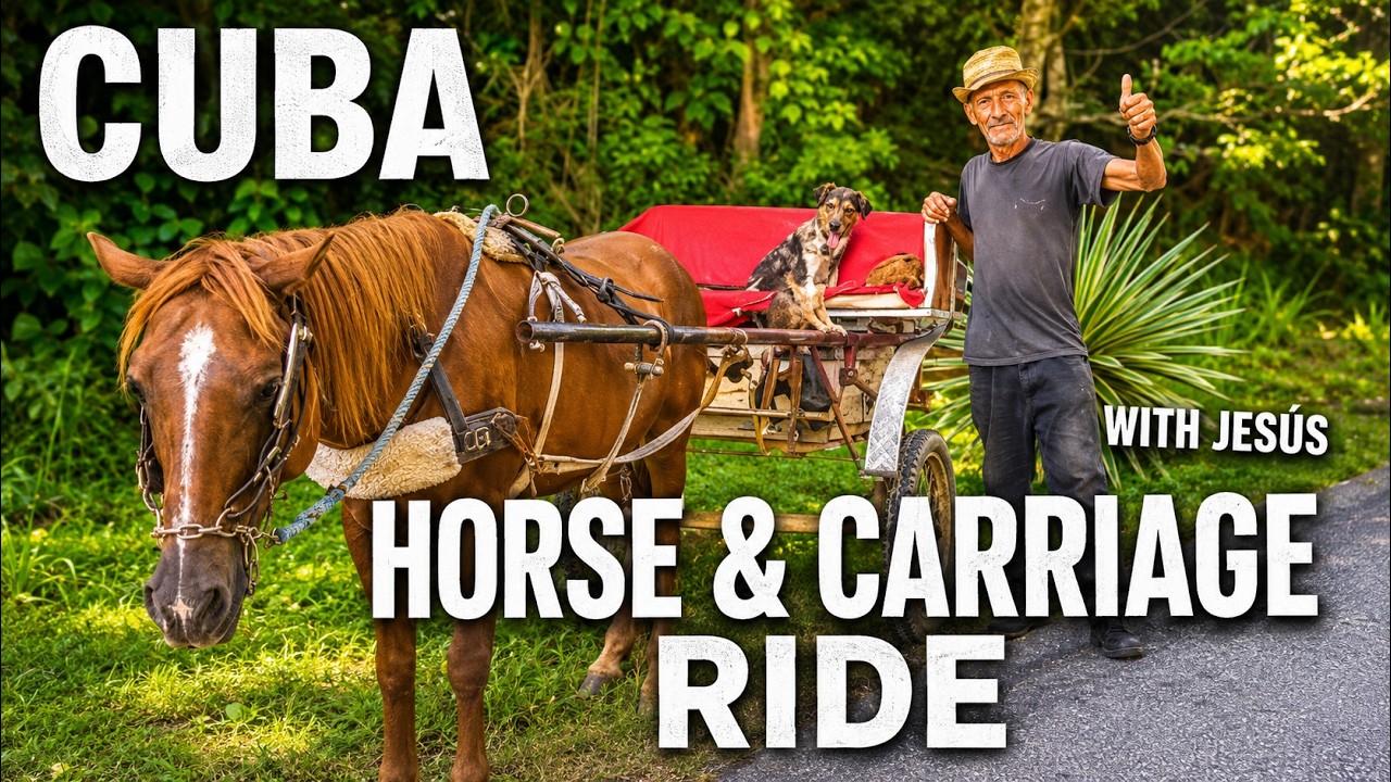 Horse Ride & Singing Dogs Experience  in Cuba | Hotel Memories Jibacoa