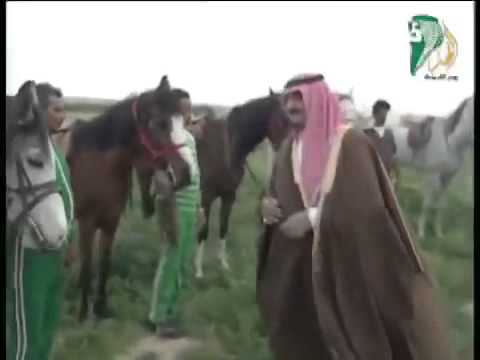 الملك فهد والملك سلمان في رحلة بريه