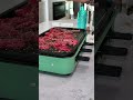 Indoor smokeless grill #tiktokshopcreatorpicks #summervibes #tiktokshopmemorialday