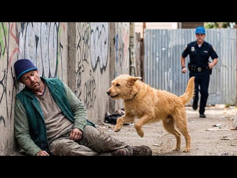 A Homeless Man Takes In an Abandoned Dog – The Heartwarming Ending Will ...