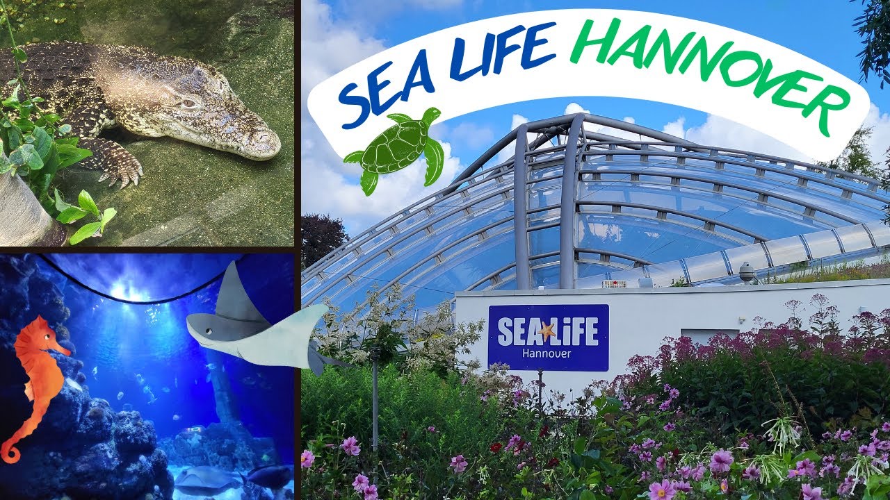 Unterwasserwelten und Regenwälder | Rundgang durch das Sea Life Hannover mit vielen Tieren
