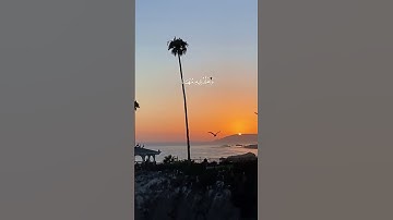 #تلاوة_خاشعة #اكسبلور #المصحف #راحة_نفسية #آيات #الرحمن