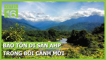 Bảo tồn di sản AHP trong bối cảnh mới: Nỗ lực tiên phong vì khu vực ASEAN | VTC16