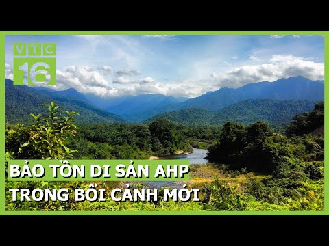 Bảo tồn di sản AHP trong bối cảnh mới: Nỗ lực tiên phong vì khu vực ASEAN | VTC16