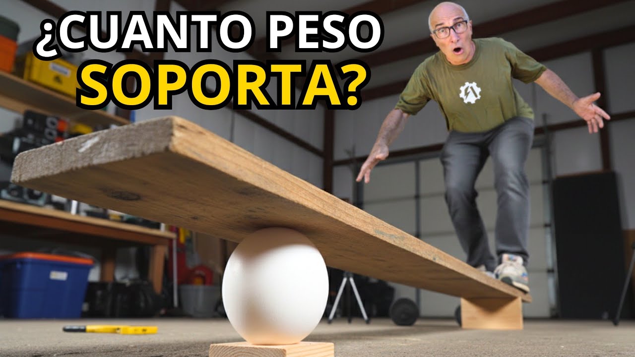 ¿Cuánto Peso Aguanta un huevo? Experimento Casero