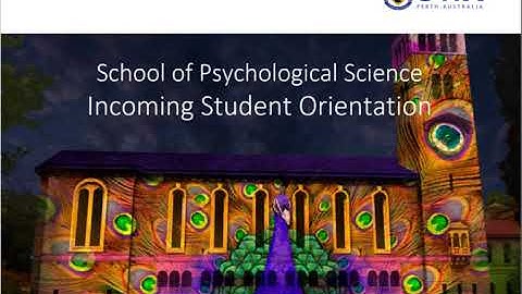 What Are the Undergraduate Options to Study Psychology at UWA?