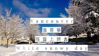 在溫哥華踩雪去上班 Vancouver under blanket of snow