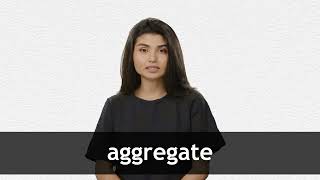 How to pronounce AGGREGATE in American English